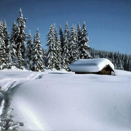 Apartmán Ferienhaus Beim Veitele Mittenwald Exteriér fotografie