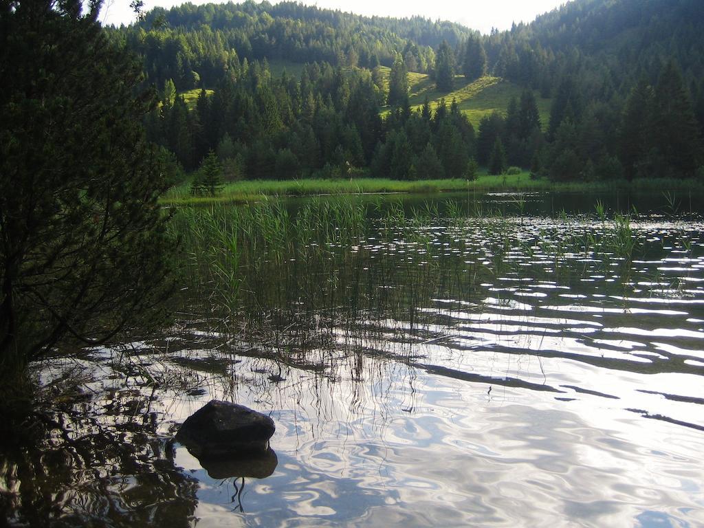 Apartmán Ferienhaus Beim Veitele Mittenwald Exteriér fotografie