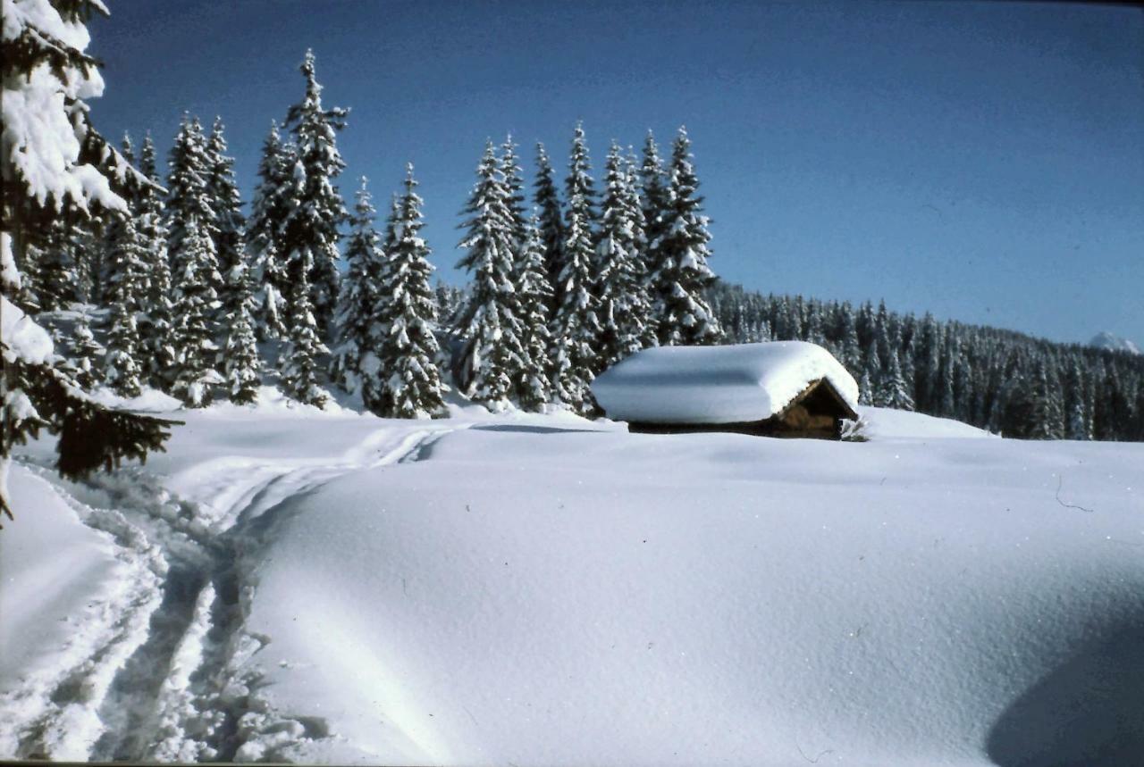 Apartmán Ferienhaus Beim Veitele Mittenwald Exteriér fotografie